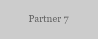 Partner Company 7