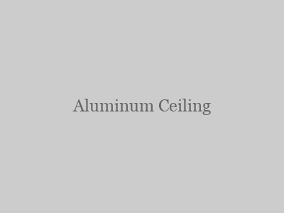 Aluminum Ceiling for interior decoration