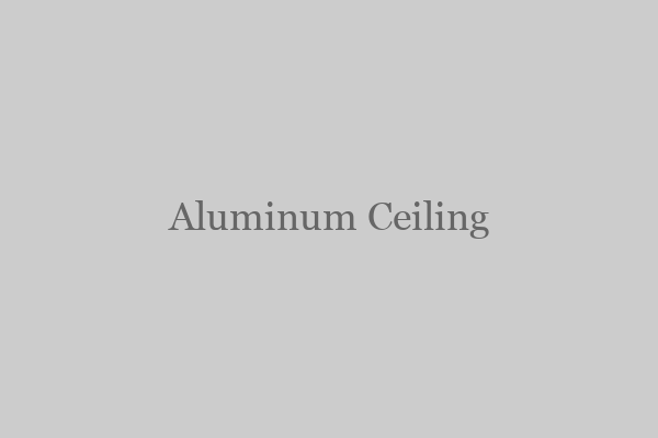 Aluminum Ceiling