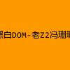 成人热门-黑白DOM-老Z2冯珊珊