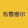 同城交友-布鲁塞尔